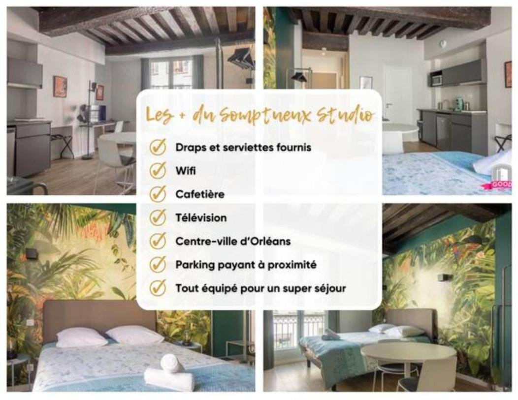Somptueux Studio Hyper Centre Avec Wifi Apartamento Orléans Exterior foto